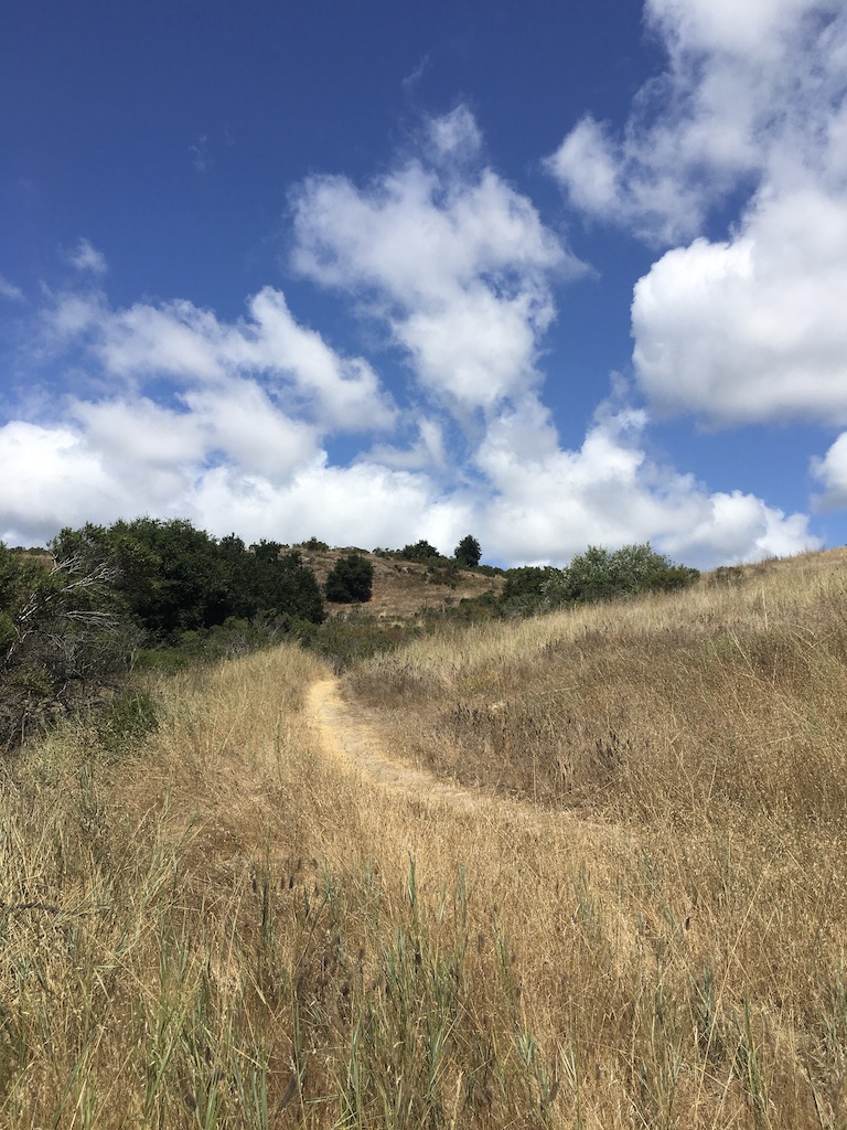 Santa Cruz Mountain Trails for Hiking and Biking 